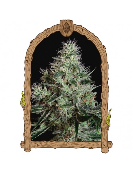 3 UND FEM - MANGO CREAM 