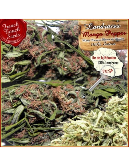 5 UND REG - MANGO PEPPER 