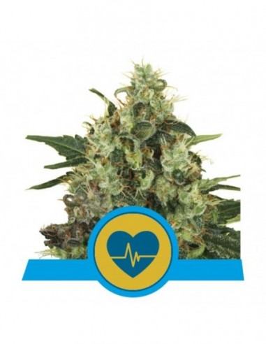 1 UND FEM - MEDICAL MASS 