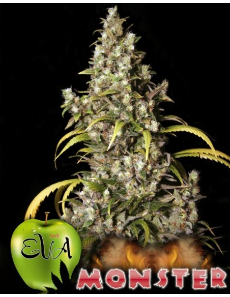3 UND FEM - MONSTER 