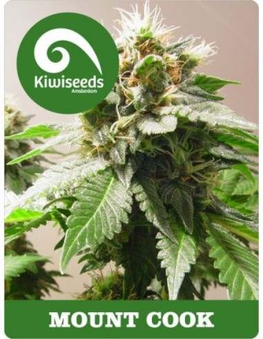 5 UND REG - MOUNT COOK 