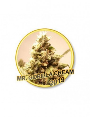 100 UND FEM - MR. GORILLA CREAM 