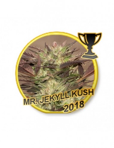 7 UND REG - MR. JEKYLL KUSH 