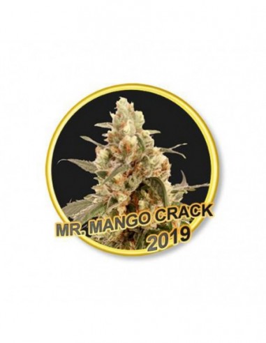 15 UND REG - MR. MANGO CRACK   MR. HIDE SEEDS 15 UND REG