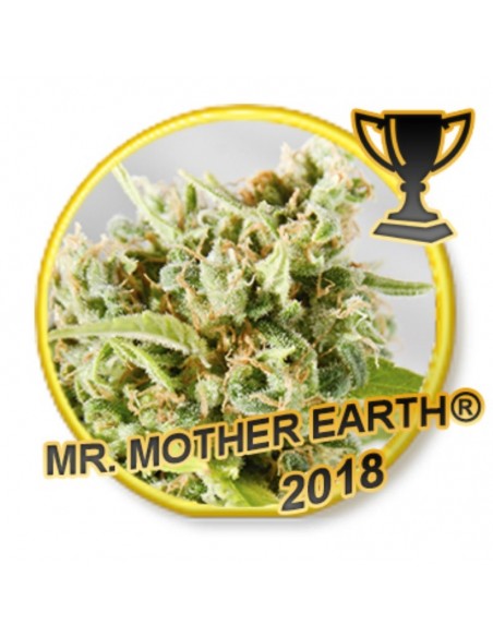 3 UND FEM - MR. MOTHER EARTH 