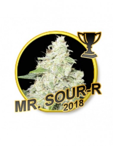 15 UND REG - MR SOUR-R (USA STRAINS) 