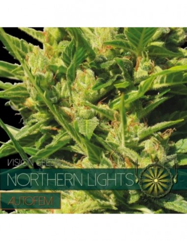 10 UND FEM - NORTHERN LIGHTS AUTOFLOWERING (ETIQUETA FRANCESA) 
