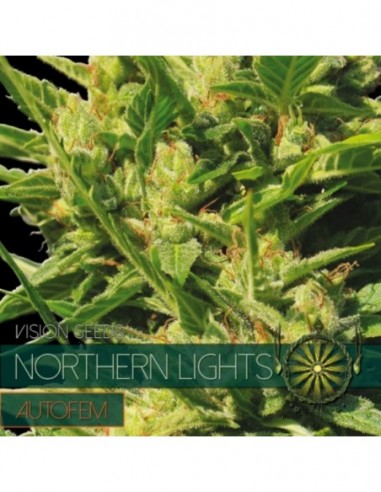 5 UND FEM - NORTHERN LIGHTS AUTOFLOWERING 