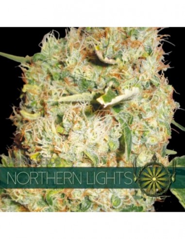 5 UND FEM - NORTHERN LIGHTS 