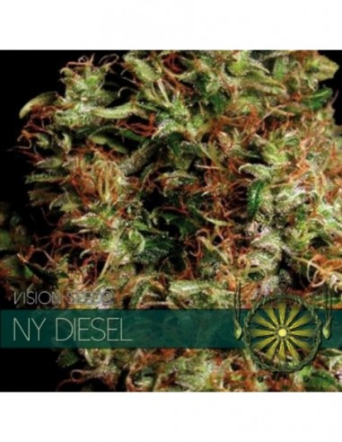 5 UND FEM - NY DIESEL 