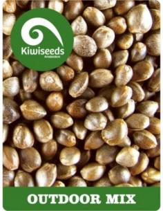 5 UND FEM - OUTDOOR MIX 