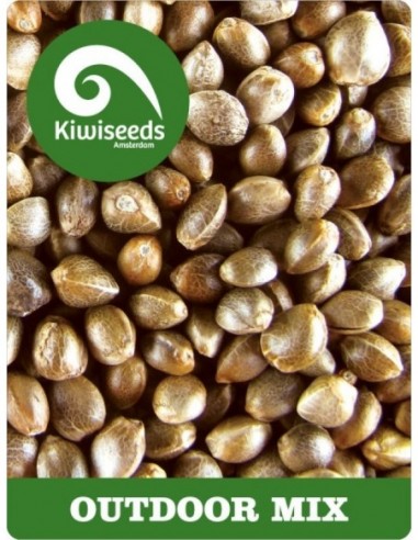 5 UND REG - OUTDOOR MIX 