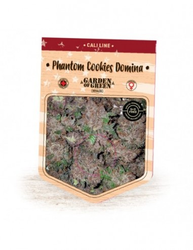 1 UND FEM - PHANTOM COOKIES DOMINA 