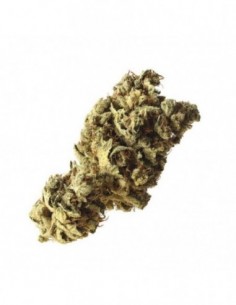 10 UND FEM - PINEAPPLE KUSH 