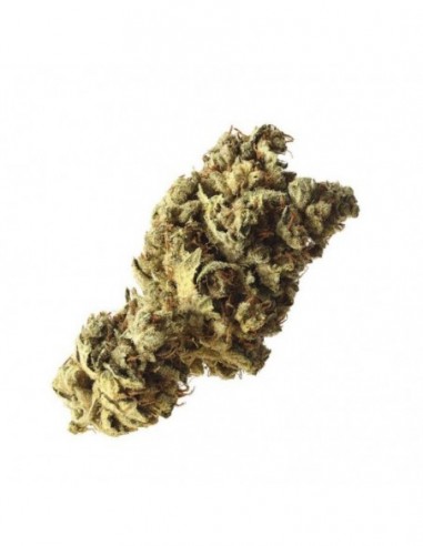 10 UND FEM - PINEAPPLE KUSH 