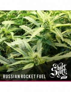 3 UND FEM - RUSSIAN ROCKET FUEL 