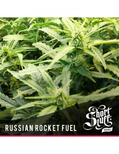 3 UND FEM - RUSSIAN ROCKET FUEL 