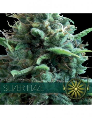 10 UND FEM - SILVER HAZE (ETIQUETA FRANCESA) * VISION SEEDS 10 UND FEMINIZADAS