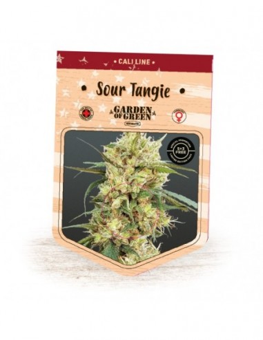 1 UND FEM - SOUR TANGIE 