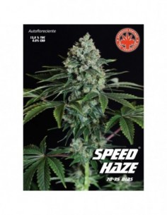 5 UND FEM - SPEED HAZE 