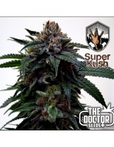 25 UND FEM - SUPER KUSH 