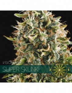 5 UND FEM - SUPER SKUNK (ETIQUETA FRANCESA) 