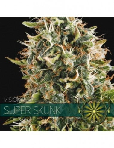 5 UND FEM - SUPER SKUNK (ETIQUETA FRANCESA) 