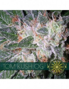 10 UND FEM - TOM KUSH OG (ETIQUETA FRANCESA) 
