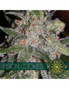 10 UND FEM - VISION COOKIES (ETIQUETA FRANCESA) 