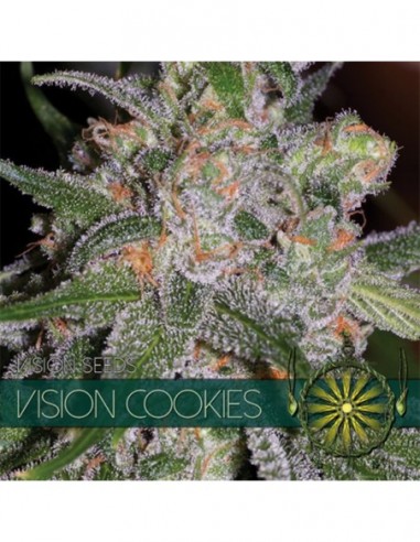 5 UND FEM - VISION COOKIES (ETIQUETA FRANCESA) 