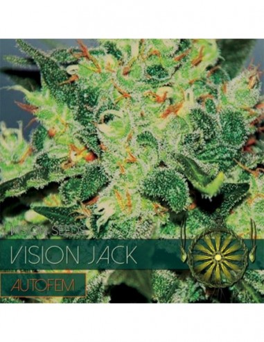 3 UND FEM - VISION JACK AUTOFLOWERING (ETIQUETA FRANCESA) 