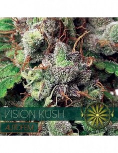 10 UND FEM - VISION KUSH AUTOFLOWERING (ETIQUETA FRANCESA) 