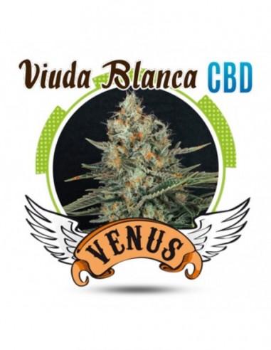 25 UND FEM - VIUDA BLANCA CBD 