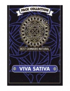 6 UND FEM - VIVA SATIVA * BCN SEEDS 6 UND FEMINIZADAS