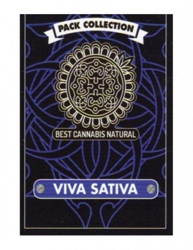 6 UND FEM - VIVA SATIVA * BCN SEEDS 6 UND FEMINIZADAS