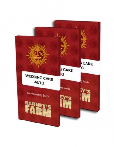 3 UND FEM - WEDDING CAKE AUTO 