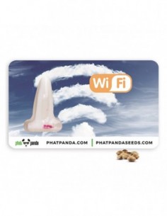 10 UND FEM - WIFI   PHAT PANDA FEMINIZADA 10 UND