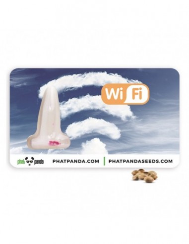 5 UND FEM - WIFI * PHAT PANDA FEMINIZADA 5 UND