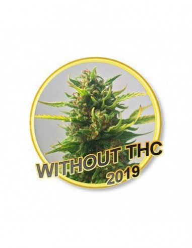 3 UND FEM - WITHOUT THC CBD 