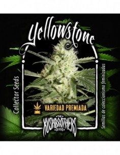 1 UND FEM - YELLOWSTONE 