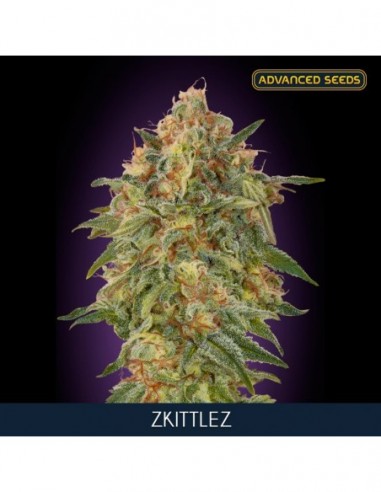 1 UND FEM - ZKITTLEZ 