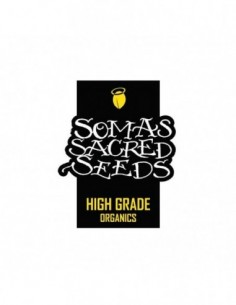 5 UND REG - FREE TIBET  * SOMA SEEDS REGULAR 5 UND