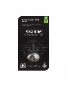 5 UND FEM - BANANA KUSH CAKE AUTOMATICA   SENSI SEEDS RESEARCH FEMINIZADA 5 UND