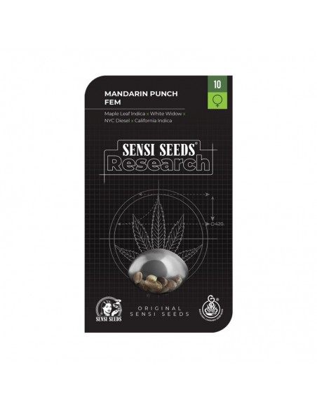 1 UND FEM - MANDARINE PUNCH FEMINIZADA  SENSI SEEDS RESEARCH FEMINIZADA 1 UND