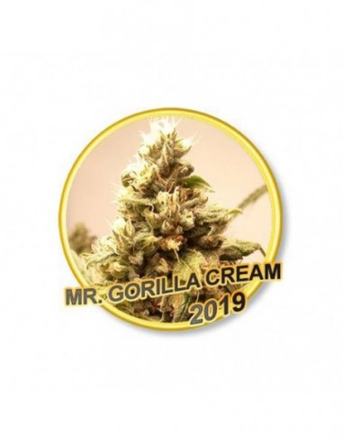 1 UND FEM - MR. GORILLA CREAM 