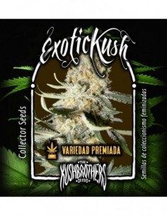 1 UND FEM - EXOTIC KUSH  2