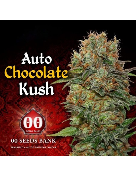 3 UND FEM - AUTO CHOCOLATE KUSH 