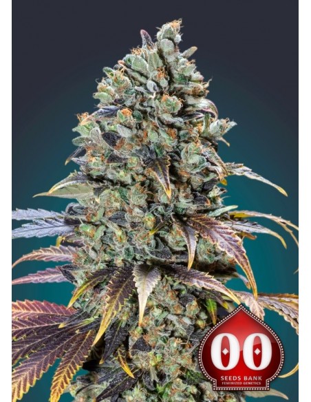 3 UND FEM - CHOCOLATE CREAM 