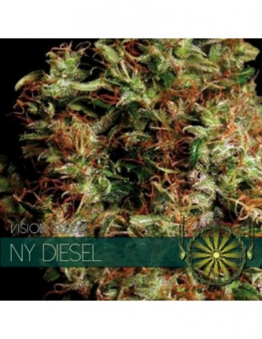 3 UND FEM - NY DIESEL 