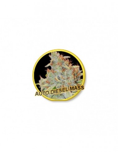 3 UND FEM - AUTO DIESEL MASS 